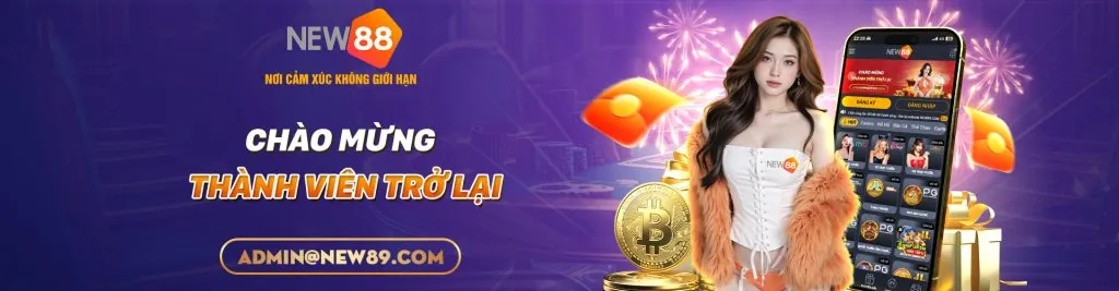 Hình ảnh chính giới thiệu banca29 info