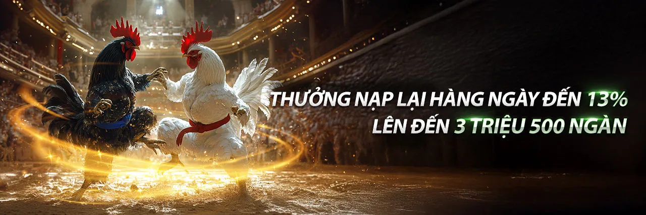 Đá Gà Trực Tuyến Hấp Dẫn tại banca29 info